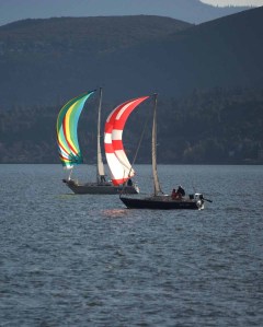 sailboats on Clear Lake