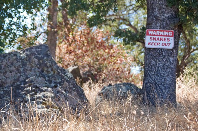 snake warning