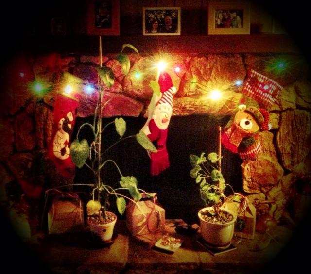 Christmas hearth 2012