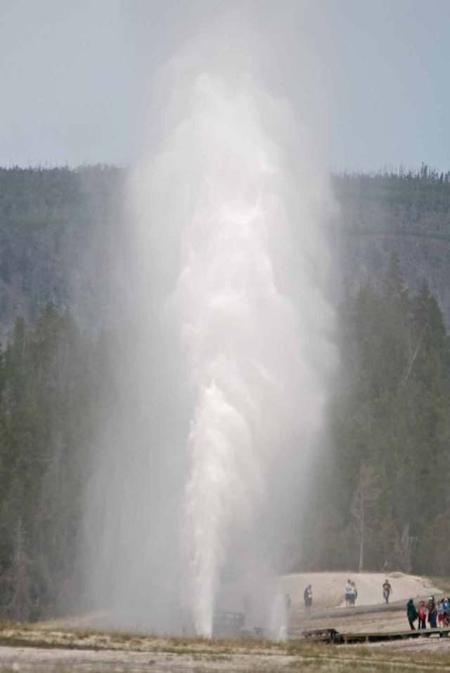 old faithful 1