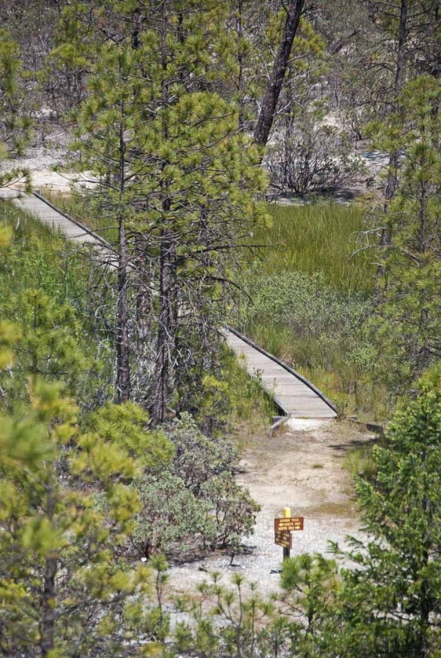trail from West Point Overlook