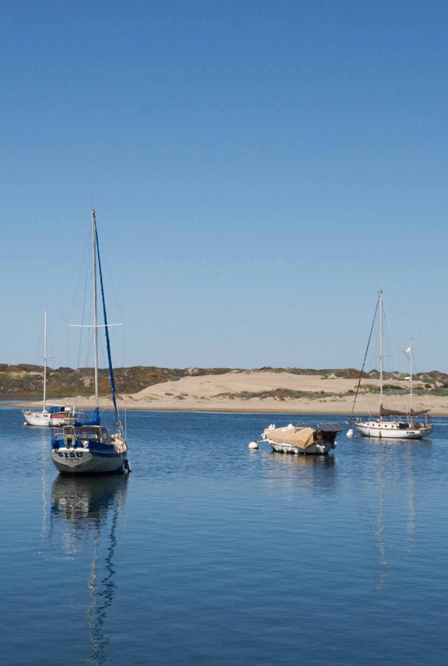 boats on Morro Bay