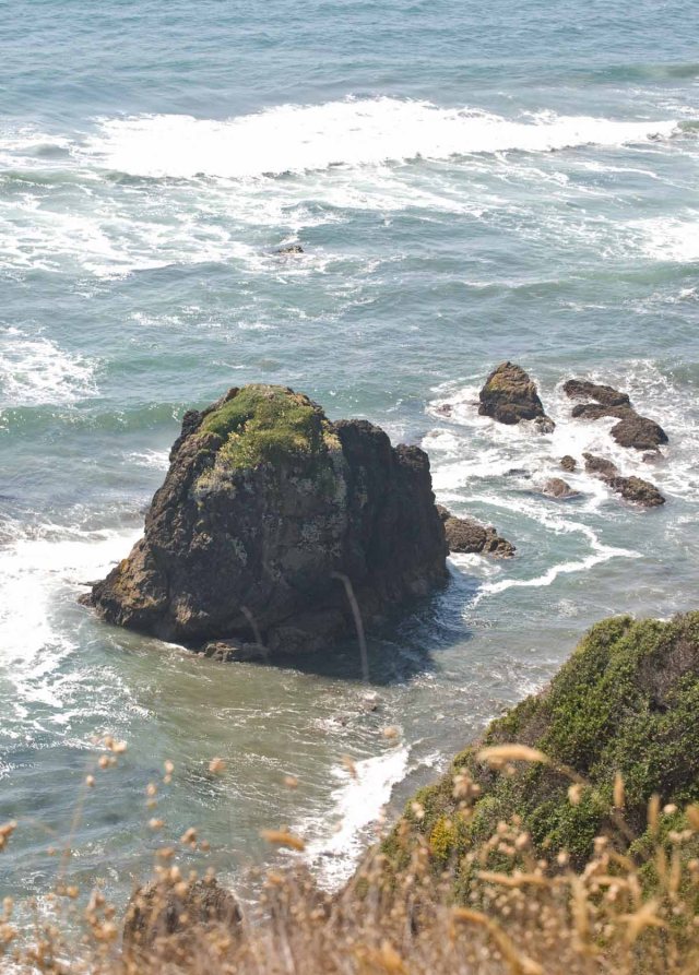 trail to Enderts Beach