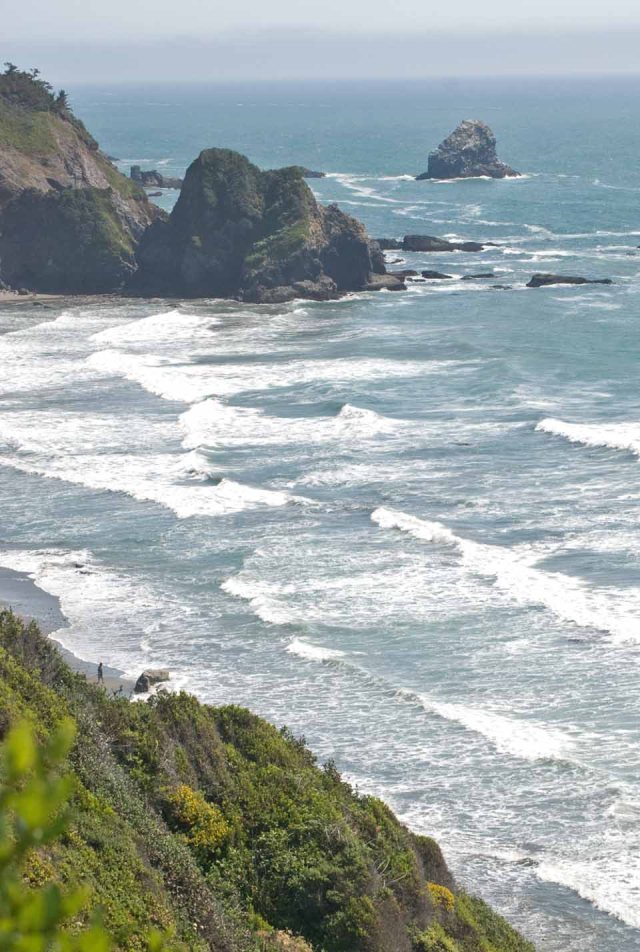 view of Enderts Beach from trail